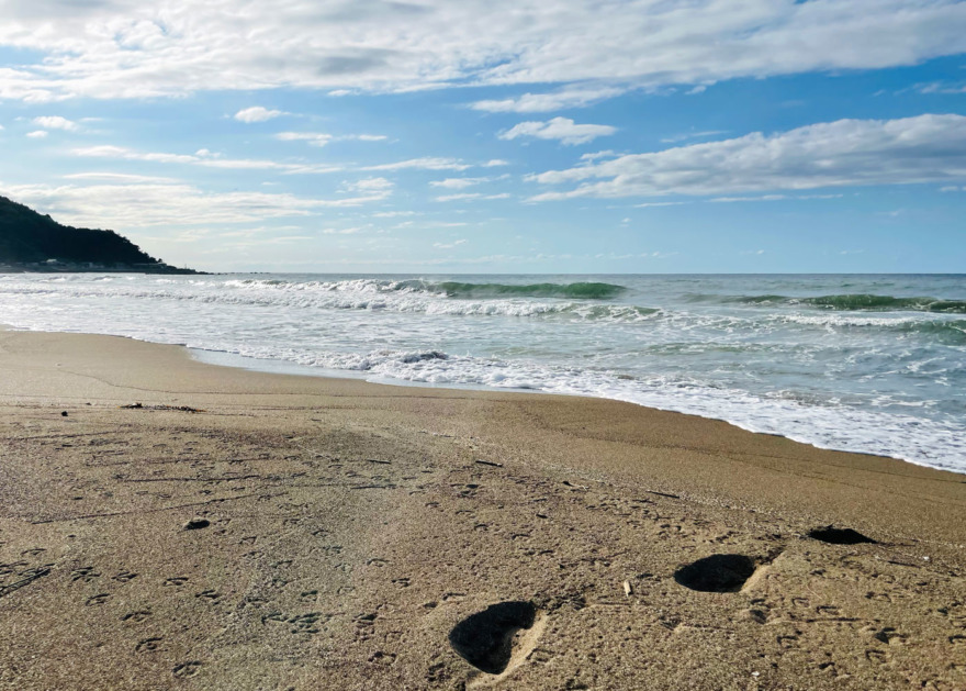 秋晴れに惨敗した糸魚川キス