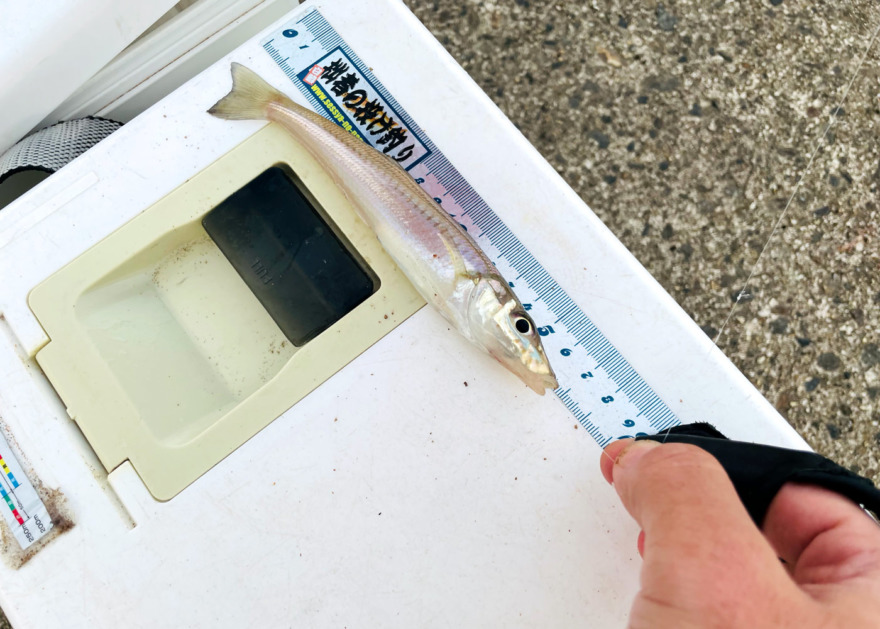 口能登、サーフ限界からの湾内釣り