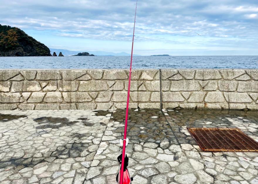 川奈いるか浜でホウボウを狙う