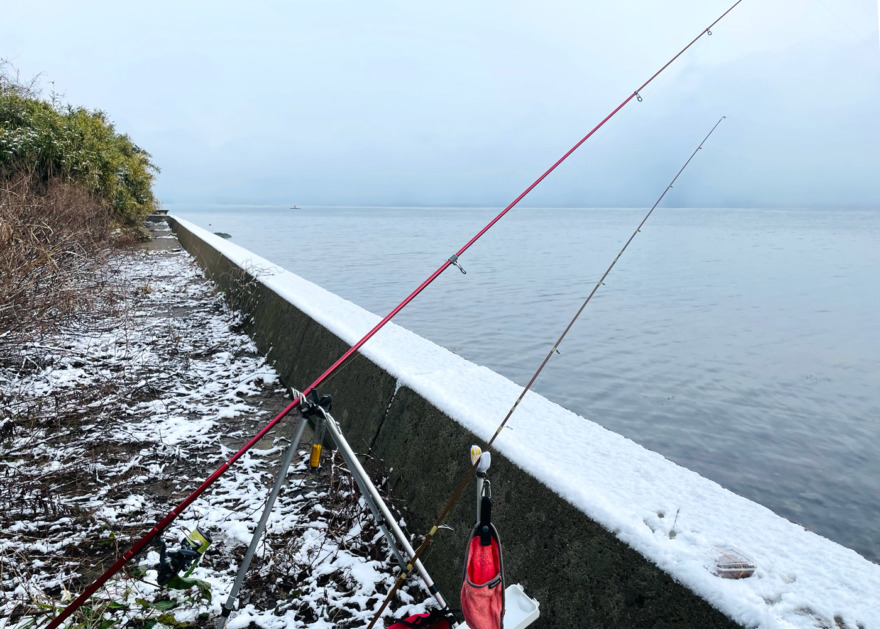 年末能登島カレイ狙いは完敗！